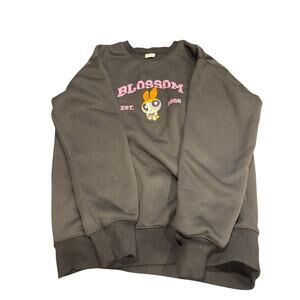 Blossom power puff girl sweatshirt with embroidered design.